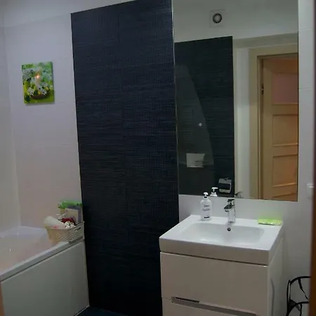 Holidays And Break In