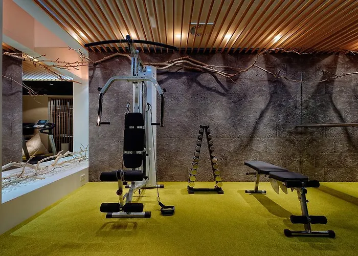 Holidays And Break In